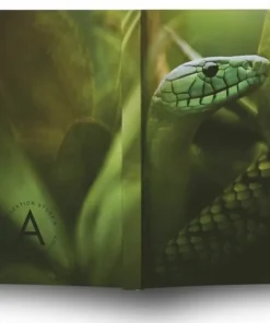 Anteckningsbok A6 linjerad mjuk pärm Mattias A. Klum mamba