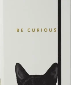 Anteckningsbok A5 linjerad Curious Cat