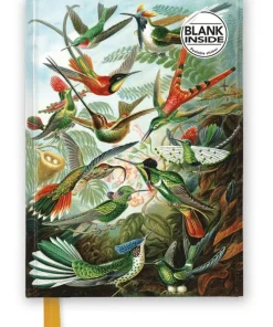 Anteckningsbok A5 olinjerad - Ernst Haeckel : Hummingbirds
