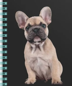Anteckningsbok A6 wire-o linjerad Hund