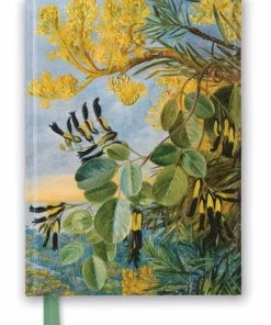 Anteckningsbok 22x16cm linjerad Kew Garden's: Flowers of the Flame Tree