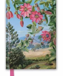 Anteckningsbok 22x16cm linjerad Kew Garden's: View in Brisbane