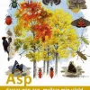 Asp : darrar min asp, myllrar min värld