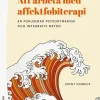 Att arbeta med affektfobiterapi : en fokuserad psykodynamisk och integrativ metod