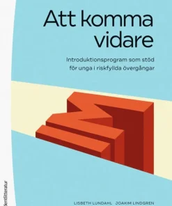 Att komma vidare - Introduktionsprogram som stöd för unga i riskfyllda övergångar