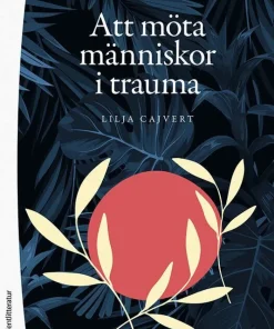 Att möta människor i trauma : hur kan vi bemöta traumadrabbade individer?