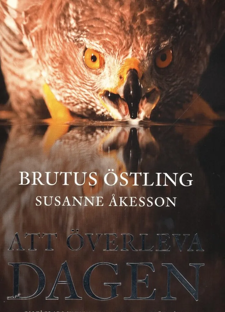 Att överleva dagen