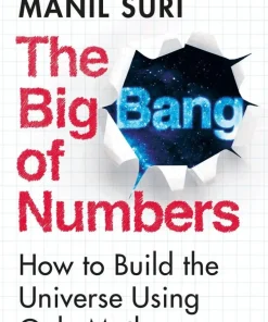 Big Bang of Numbers