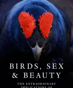 Birds, Sex and Beauty