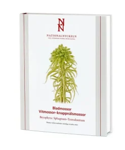 Bladmossor: Vitmossor - knappnålsmossor: Bryophyta: Sphagnum-Tetrodontium