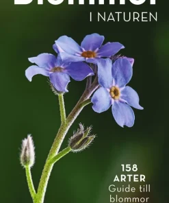 Blommor i naturen : 158 arter, guide til blommor nära dig