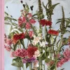 Blomster:Odla egna snittblommor