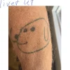 Bob Hund : nybörjartur livet ut