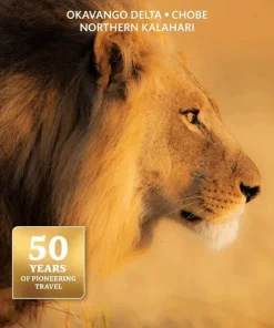 Botswana Safari Guide
