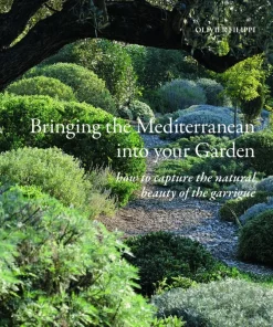 Bringing the Mediterranean into your Garden