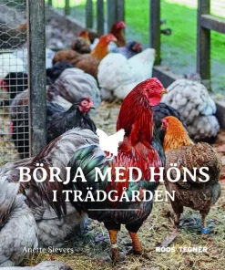 Börja med höns i trädgården