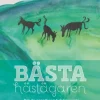 Bästa hästägaren : det du egentligen behöver veta för att ha en egen häst