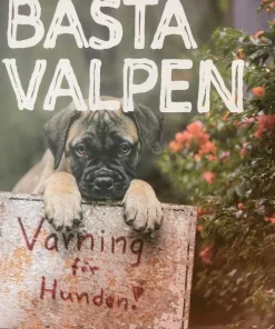 Bästa valpen