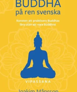 Buddha på ren svenska : konsten att praktisera Buddhas lära utan att vara Buddhist