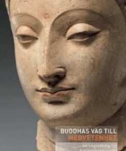 Buddhas väg till medvetenhet : en vägledning till Satipatthana-sutta