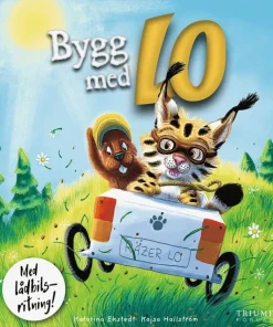 Bygg med Lo : med lådbilsritning