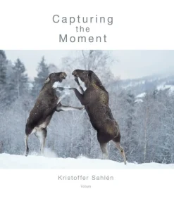 Capturing the Moment