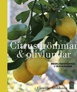 Citrusdrömmar & olivlundar : medelhavskänsla i trädgården