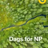 Dags för NP : sfi kurs C