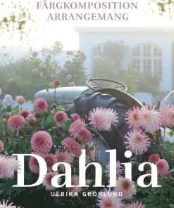 Dahlia : drömrabatter, färgkomposition och arrangemang