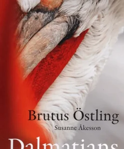 Dalmatians and other pelicans