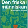 Den friska människan : Anatomi och fysiologi