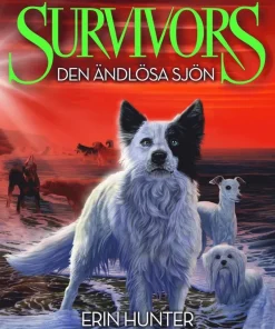 Den ändlösa sjön