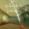 Den ofulländade fiskaren