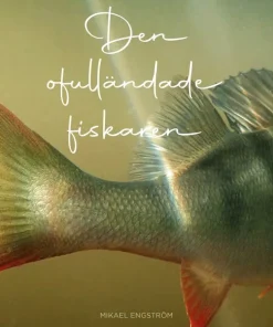 Den ofulländade fiskaren