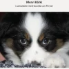 Det goda hundägarskapet : valpinspiration