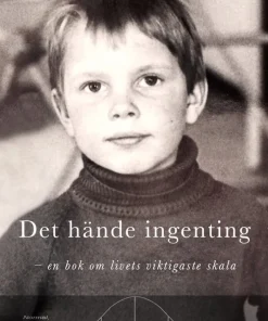 Det hände ingenting : en bok om livets viktigaste skala