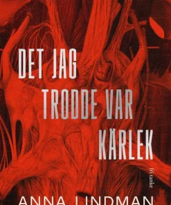 Det jag trodde var kärlek : en bok om psykiskt våld