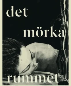 Det mörka rummet : om migränens historia och jakten på lindring