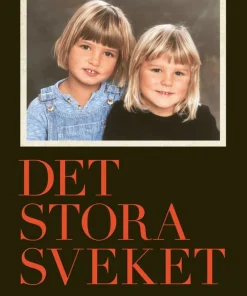 Det stora sveket : berättelsen om skyddsnätet som inte fanns