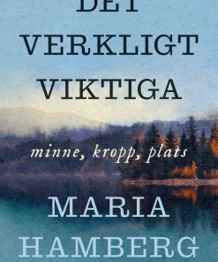 Det verkligt viktiga : minne, kropp, plats