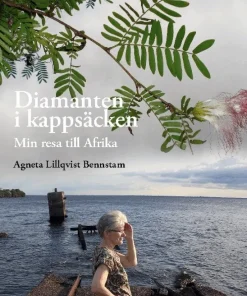 Diamanten i kappsäcken: Min resa till Afrika