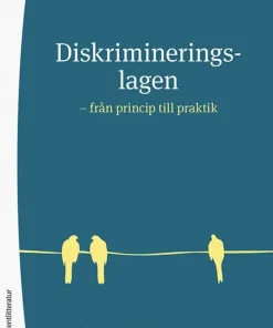 Diskrimineringslagen : från princip till praktik