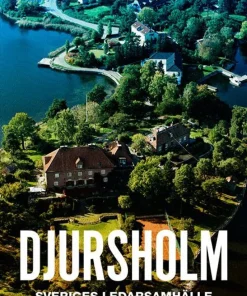 Djursholm : Sveriges ledarsamhälle