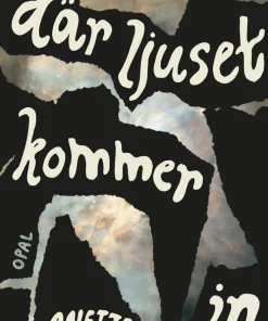 Där ljuset kommer in