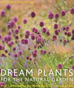 Dream Plants for the Natural Garden