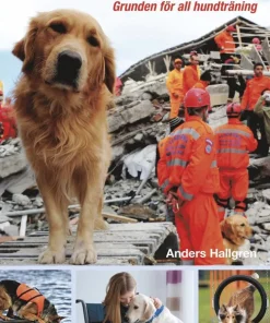 Drivkraft och motivation : grunden för all hundträning