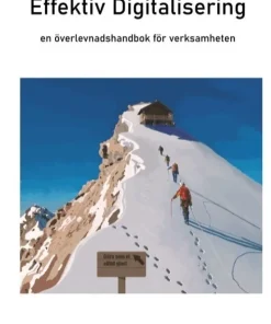 Effektiv Digitalisering: En överlevnadshandbok för verksamheten