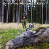 Eftersökets ABC : hur man lyckas med eftersök på klövvilt