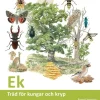 Ek : träd för kungar och kryp