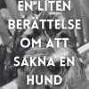 En liten berättelse om att sakna en hund